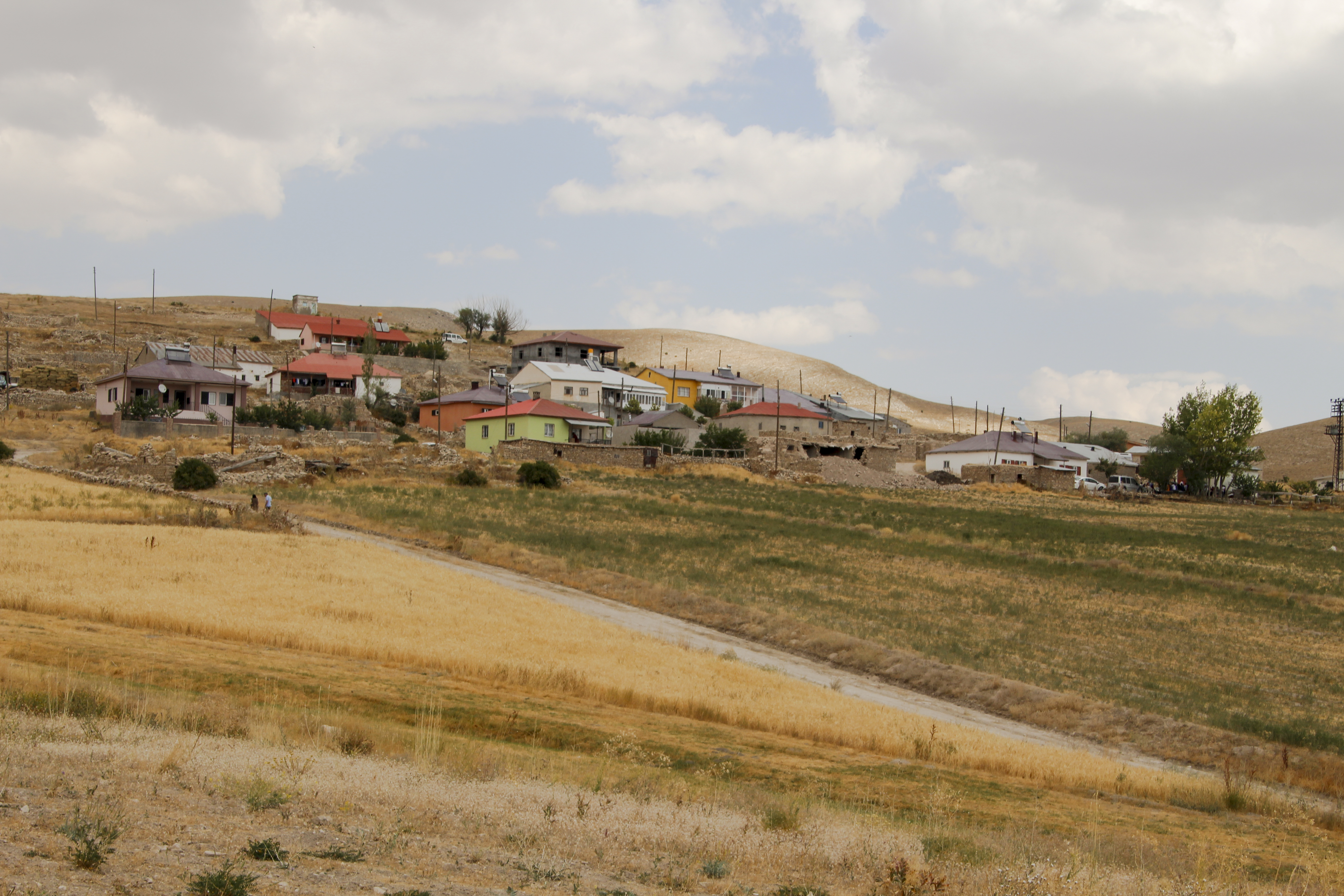 CAMİLİYURT